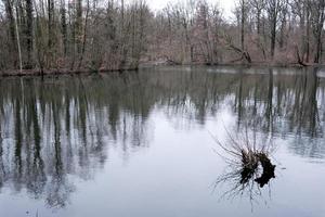 weerspiegeling van bomen in het water foto