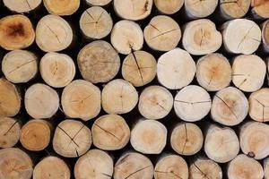 hout log textuur