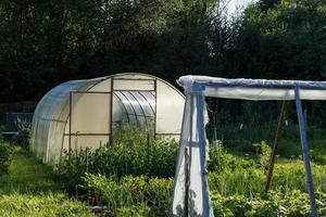 kas in de keuken tuin. groente tuin De volgende naar de Woud. foto