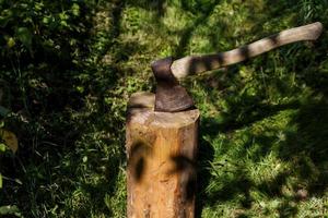 een ijzer bijl met een houten omgaan met zit vast in een pijnboom stomp in de Woud. foto