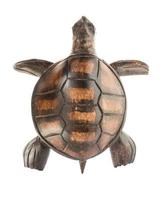 houten beeldje van een zee schildpad geïsoleerd Aan een wit achtergrond. visie van bovenstaande. foto