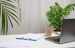 wit tafel met laptop en potten met planten, freelance werkplaats foto