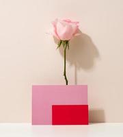 papier rood en roze bedrijf kaarten en roos knop foto