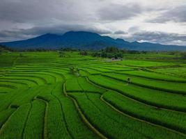 mooi ochtend- visie Indonesië panorama landschap rijstveld velden met schoonheid kleur en lucht natuurlijk licht foto