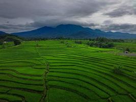 mooi ochtend- visie Indonesië panorama landschap rijstveld velden met schoonheid kleur en lucht natuurlijk licht foto