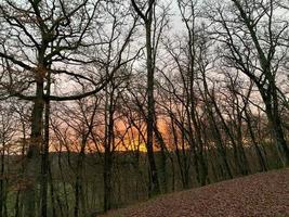 vroeg ochtend- platteland zonsopkomst 3 foto