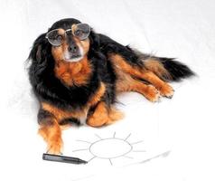 schattig hond tekening foto