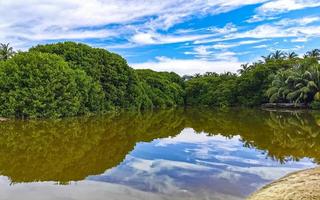 groen mooi tropisch rivier- zoetwater lagune in puerto escondido Mexico. foto