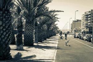 kaap stad- western kaap zuiden Afrika 2018 straat in mouille zee punt promenade, kaap dorp, zuiden Afrika. foto