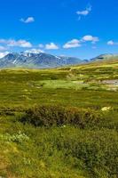 mooi berg en landschap natuur panorama rondane nationaal park Noorwegen. foto