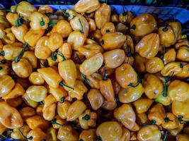 gezond biologisch rauw oranje klok paprika's foto