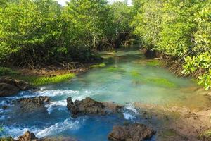 rivier en bos met bewolkte blauwe hemel foto