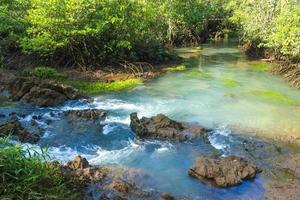 rivier en bos met bewolkte blauwe hemel foto