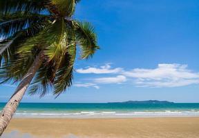 landschap zomer panorama vooraanzicht tropisch palm en kokospalmen zee strand blauw wit zand hemel achtergrond kalmte natuur oceaan mooi golf water reizen bangsaen strand oost thailand chonburi foto
