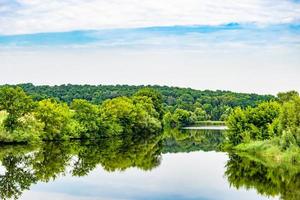 mooi gras moeras riet groeit Aan kust reservoir in platteland foto