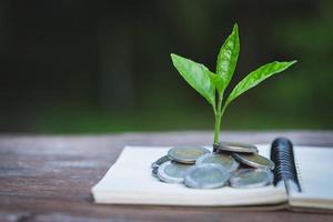 groen boom groeit Aan geld munten, ,besparing, groei, duurzame ontwikkeling, economisch concept foto