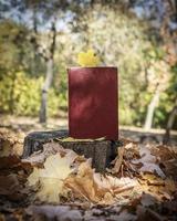 geel esdoorn- blad en een Gesloten boek met een rood Hoes foto