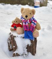 twee teddy bruin bears zitten knuffelen Aan stomp foto