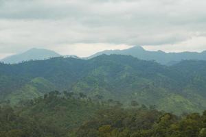 boslandschap in Thailand foto