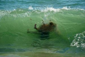 mensen zwemmen in atlantic oceaan nantucket martha strand foto