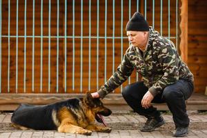 Duitse herder hond in opleiding foto