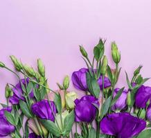 vers bloeiend bloemen Eustoma lisianthus foto