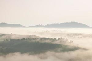 mist bedekte bergen en bos foto