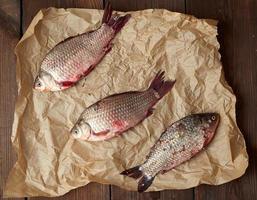 geheel vers crucian vis met balans Aan een verfrommeld bruin stuk van papier foto