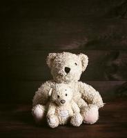 twee bruin zacht teddy bears foto