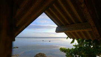 mooi visie van de strand van binnen een houten huis of Prieel foto