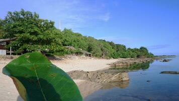 blauw strand visie, blauw lucht, eiland en prachtig groen bomen Aan tropisch strand, panoramisch visie. wijnoogst toon filter effect kleur stijl. natuur tropisch strand zee. foto