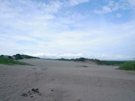 zand duinen heuvel wit strand groen gras, en helder blauw lucht Aan tropisch Indonesisch strand, panoramisch visie foto