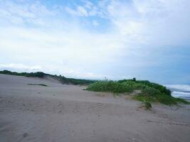 zand duinen heuvel wit strand groen gras, en helder blauw lucht Aan tropisch Indonesisch strand, panoramisch visie foto