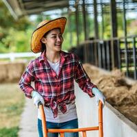 portret van gelukkig Aziatisch boer vrouw voeden koeien in stal Aan zuivel boerderij. landbouw industrie, landbouw, mensen, technologie en dier veeteelt concept. foto