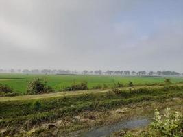 landschap met mooi korenvelden. lief landelijk natuur. onbeperkt ruimte. foto