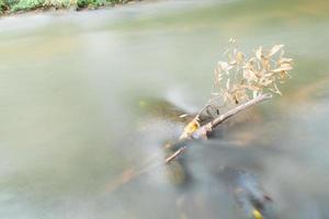 lange belichtingstijd shot van een stroom in Thailand foto