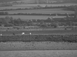 de Theems rivier- in Engeland foto