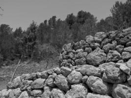 ibiza eiland in spanje foto