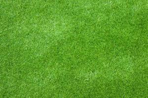 groen gras voor textuur of achtergrond