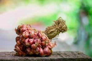 bundel sjalotten Aan houten natuur groen achtergrond foto