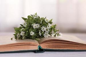 een klein bundel van wit bloemen leugens Aan een Open boek. selectief focus foto