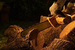 elektrisch kettingzagen besnoeiing bomen in de Woud voor gebouw een huis en maken brandhout de concept van ontbossing foto