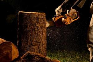 elektrisch kettingzagen besnoeiing bomen in de Woud voor gebouw een huis en maken brandhout de concept van ontbossing foto