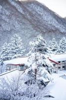 verticaal beeld van zwaar sneeuw Bij hoi Nee sato dorp in tochigi prefectuur, nikko stad, Japan foto