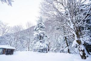 zwaar sneeuw Bij hoi Nee sato dorp in tochigi prefectuur, nikko stad, Japan foto