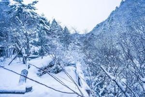 zwaar sneeuw Bij hoi Nee sato dorp in tochigi prefectuur, nikko stad, Japan foto