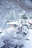 verticaal beeld van zwaar sneeuw Bij hoi Nee sato dorp in tochigi prefectuur, nikko stad, Japan foto