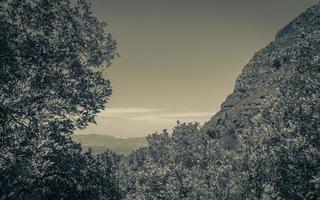 uitzicht vanaf tafelberg nationaal park kaapstad, zuid-afrika. foto