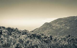 uitzicht vanaf tafelberg nationaal park kaapstad, zuid-afrika. foto