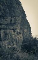 kliffen en rotsen tafelberg nationaal park kaapstad, afrika. foto